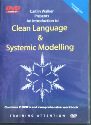 Caitlin Walker - An Introduction To Clean Language And Systemic Modelling